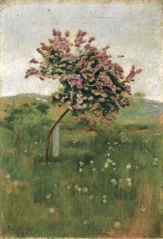 Ferdinand Hodler THe Lilac